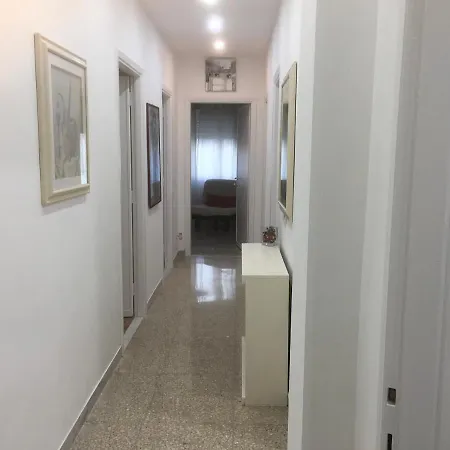 Pacelli 14